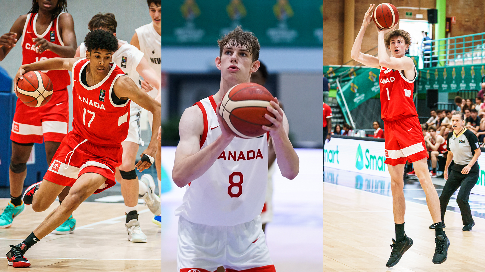 Canadian trio of Nitu, Ward and Kossaras named to Basketball Without